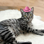 Small pink cowboy hat for pet costume accessories