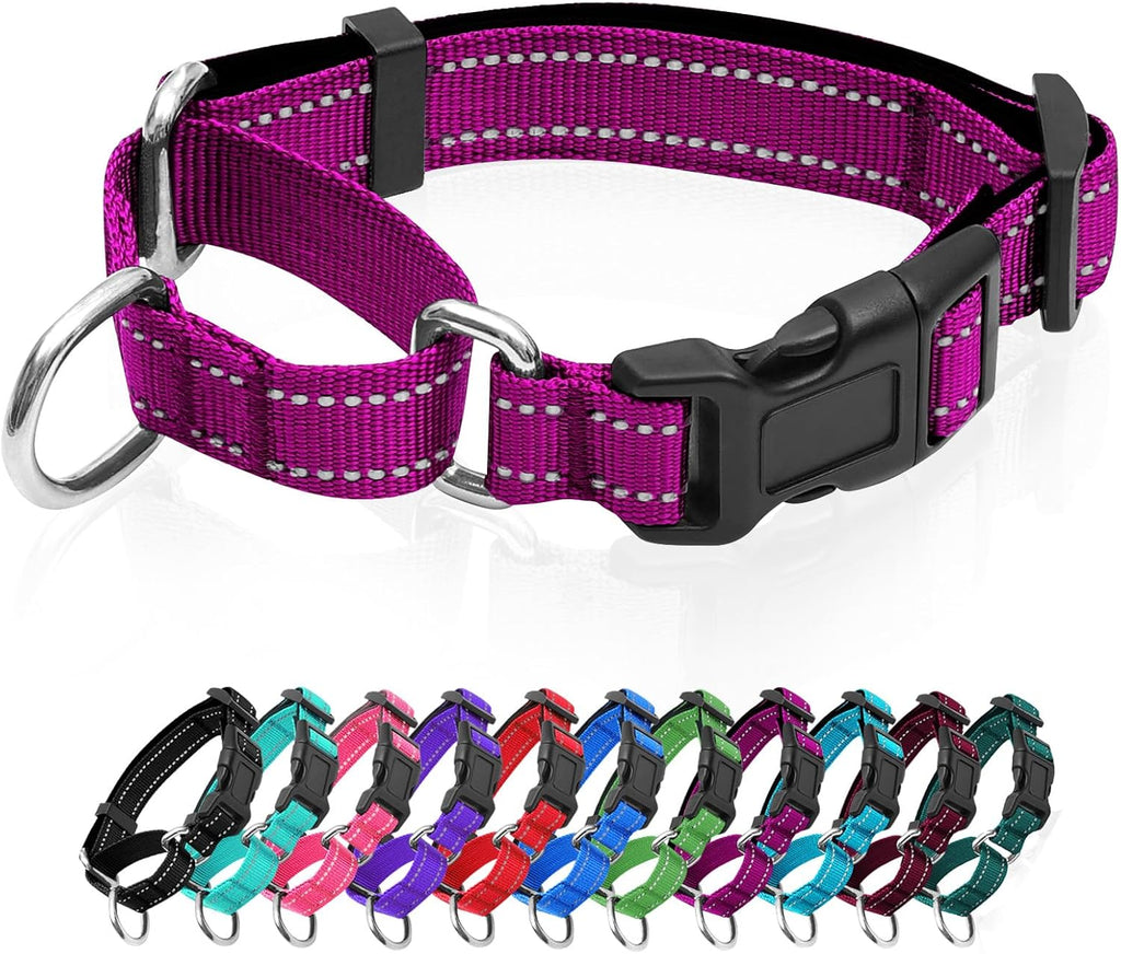 Reflective Martingale Dog Collars. Dog Collar with Quick Release Buckle. Adjustable Soft Padded Breathable Nylon Pet Collar Suitable for Puppies for Small Medium Large Dogs. - Image 9
