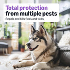 Fipronil and S-methoprene waterproof flea drops for large dogs