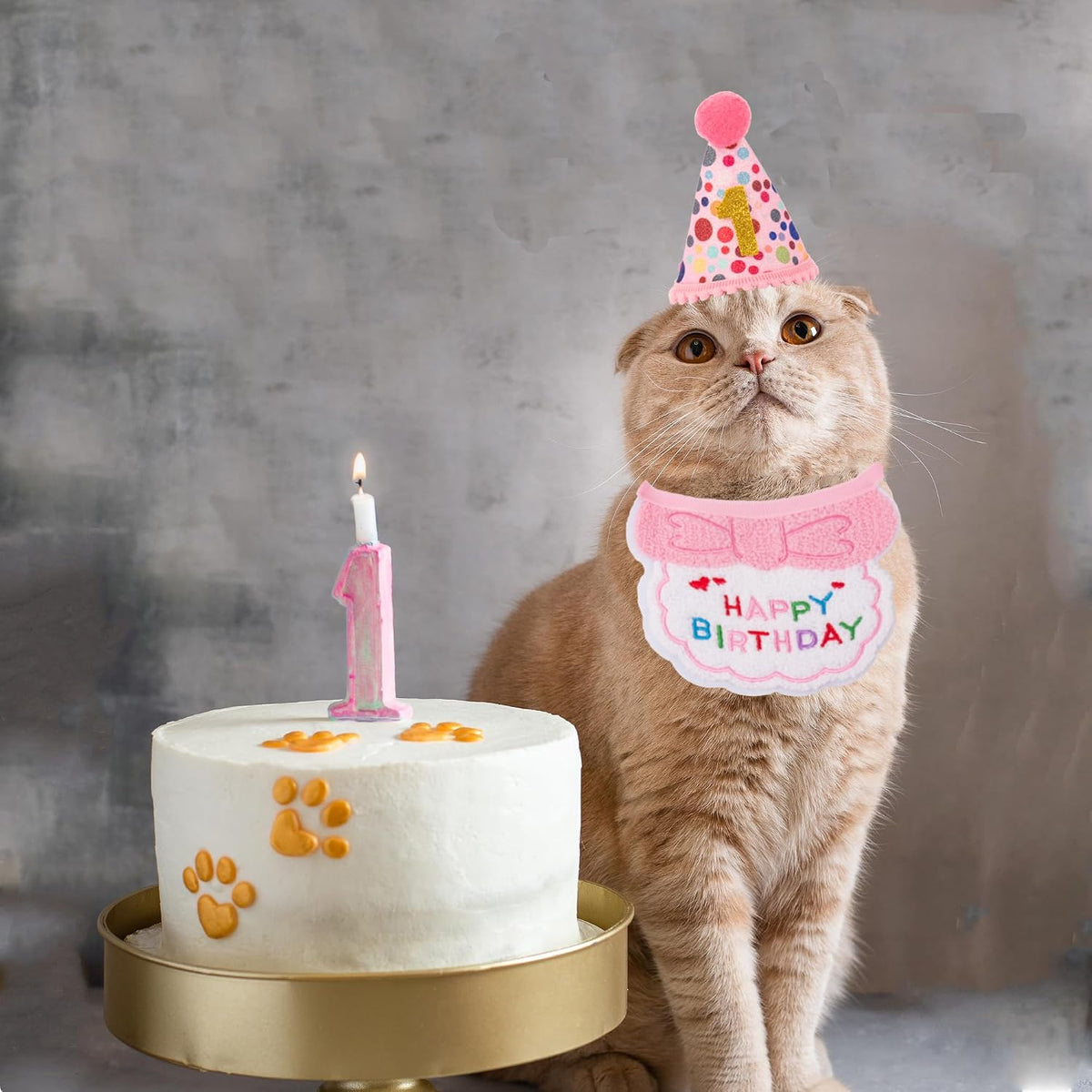 Sparkling kitten birthday hat with golden numbers