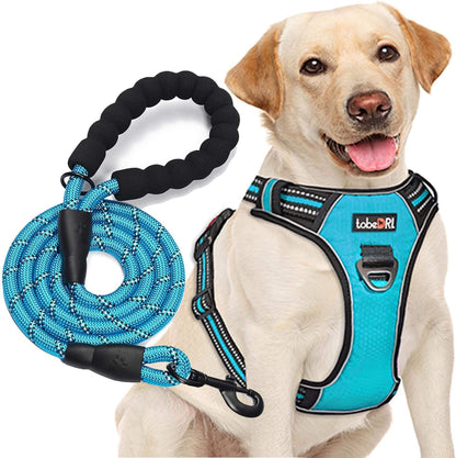 tobeDRI No Pull Dog Harness Adjustable Reflective Oxford Easy Control Medium Large Dog Harness with A Free Heavy Duty 5ft Dog Leash - Image 13
