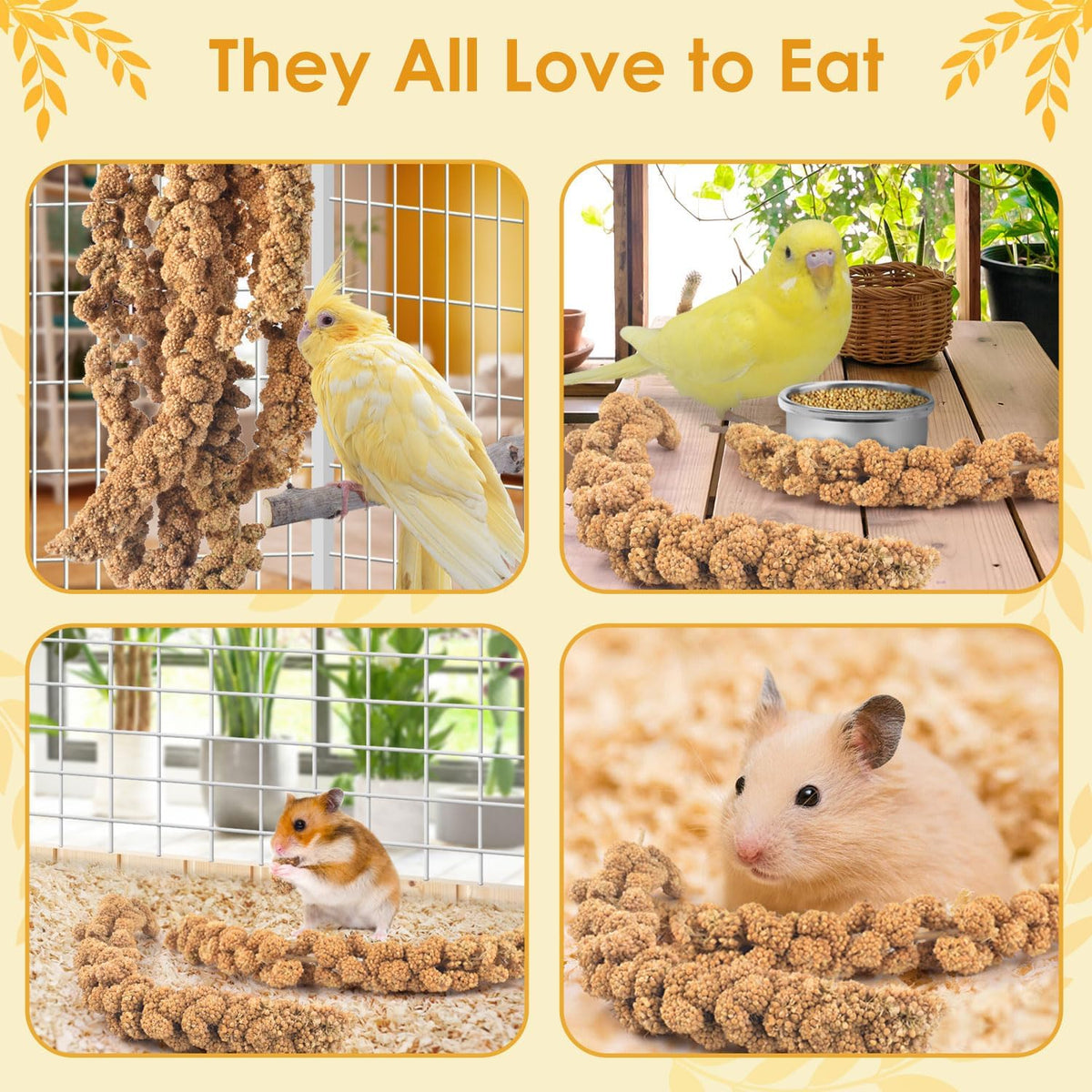 Nutritional benefits of Katumo sun dried millet for birds