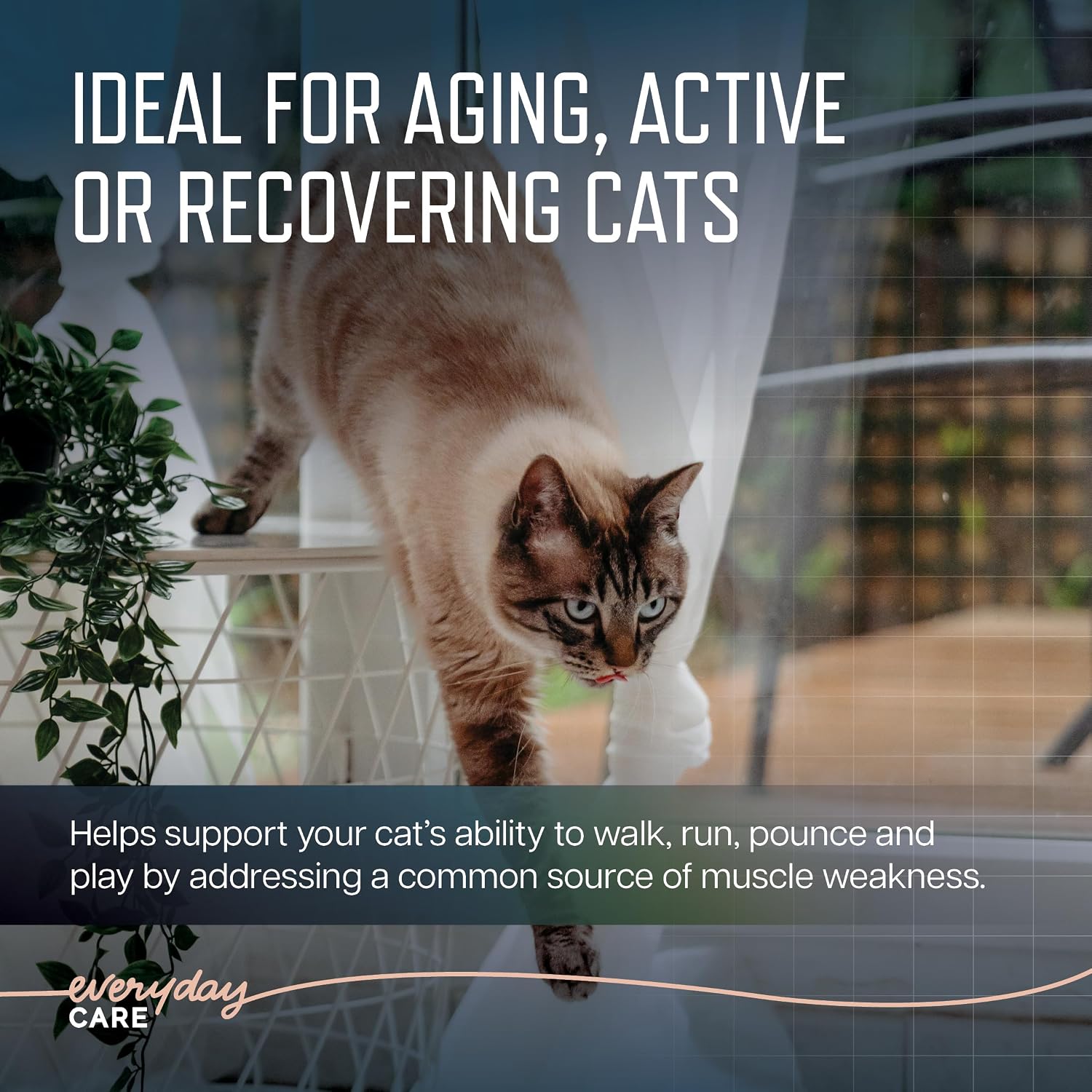Detailed label of Virbac feline muscle health chews