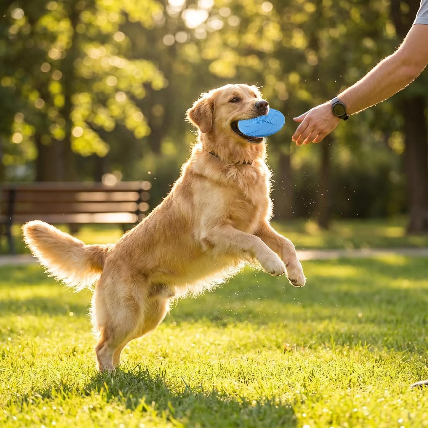 Close up of durable rubber dog frisbee texture