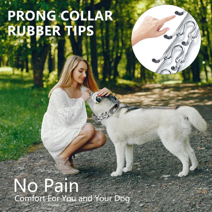 Humane pet training collar with rubber cushions and leash accessory