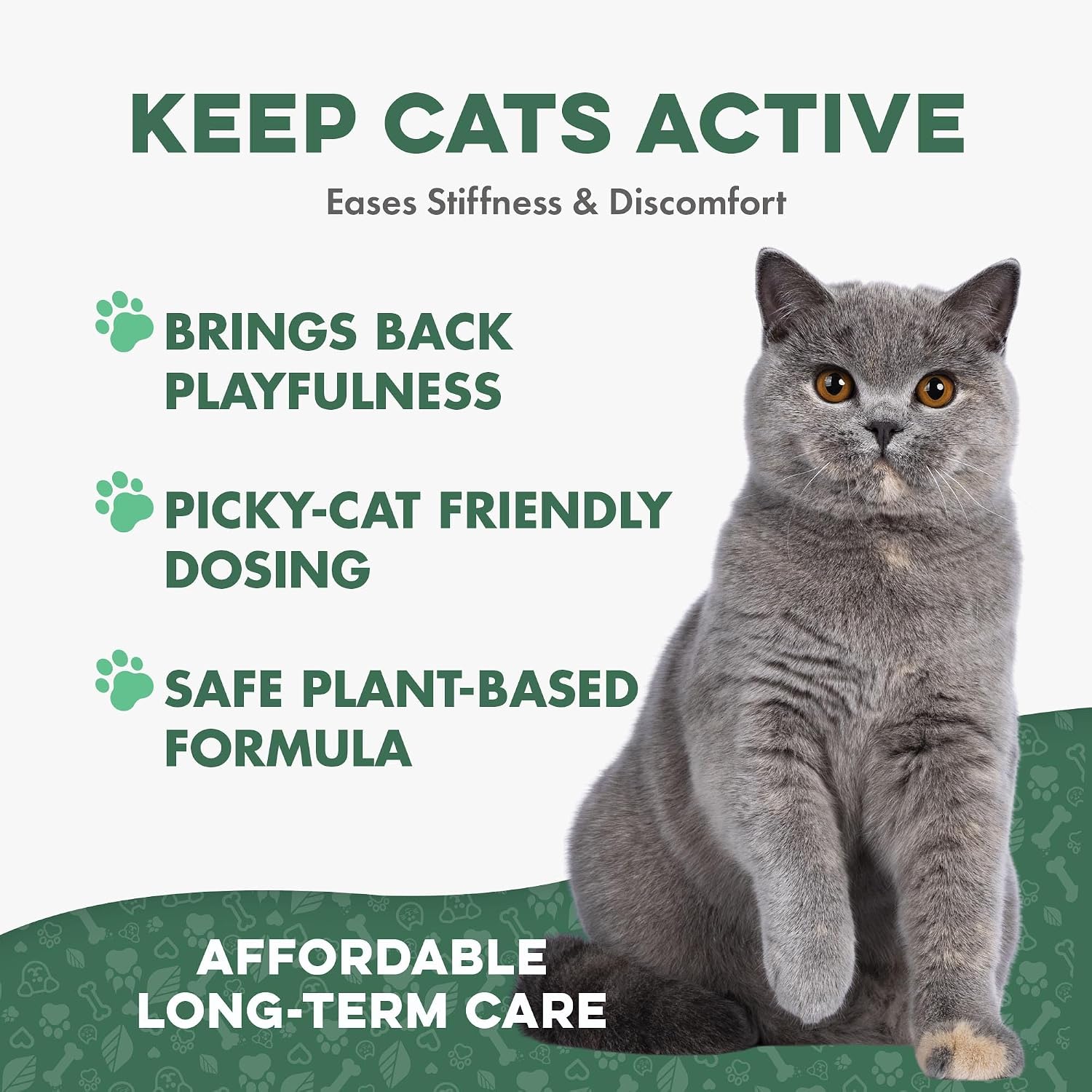 BestLife4Pets natural cat joint support tablets on a surface