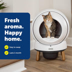 Two individual white automatic cat litter box deodorizing pods displayed outside the box.