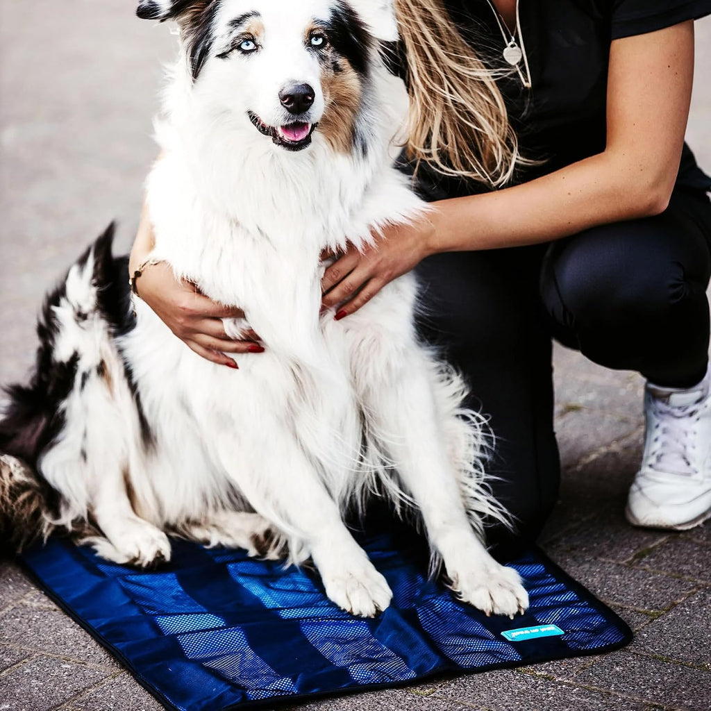 Authentic USA imported Back on Track cooling blanket mat layout for dogs and pets