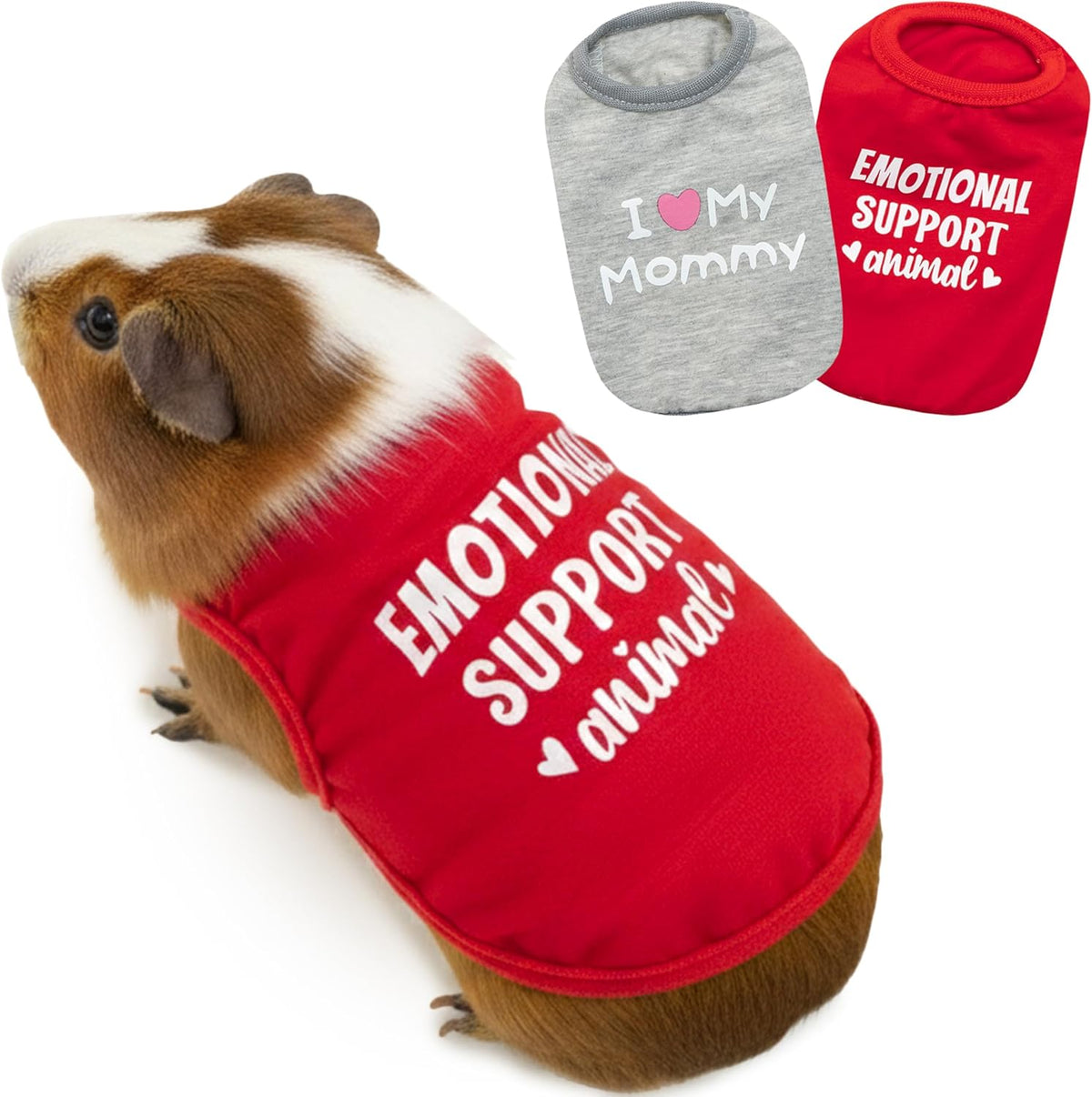 Aluzaemo guinea pig clothes front view of security pet vest