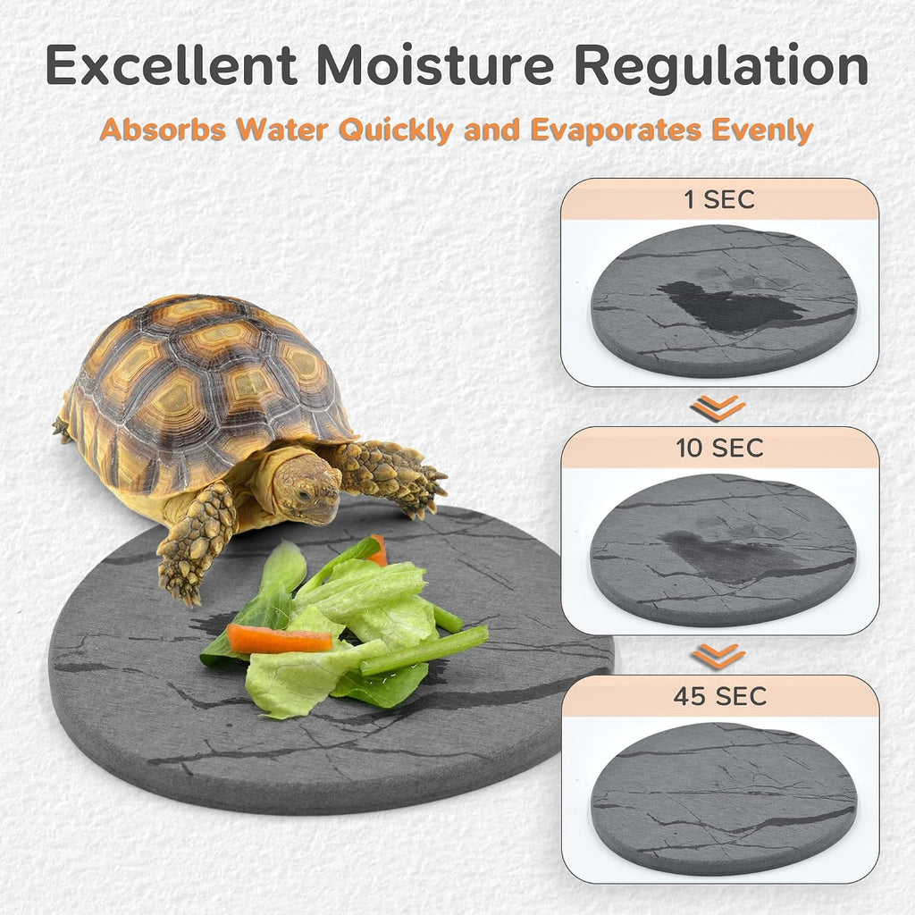 Diatomaceous earth slate rock feeding dish with a leopard gecko