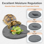 Diatomaceous earth slate rock feeding dish with a leopard gecko