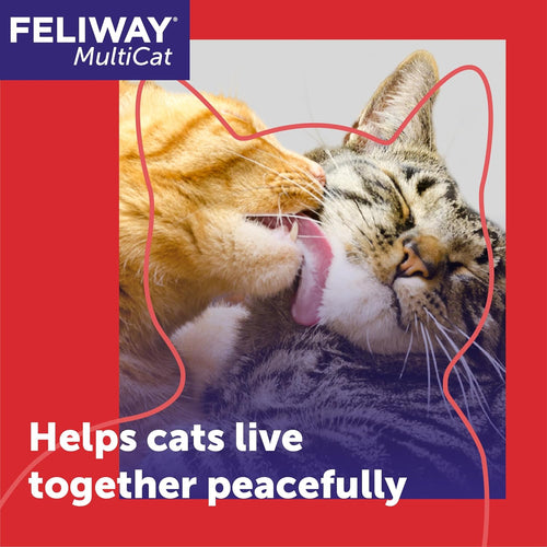 FELIWAY MultiCat forty eight milliliter refill bottle showing the liquid level and screw top mechanism.