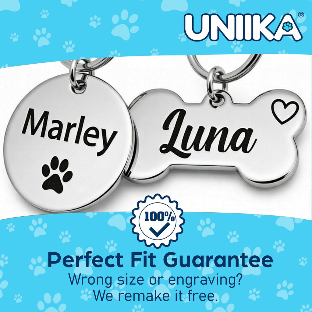 Small silver stainless steel pet ID tag with secure split ring attachment.