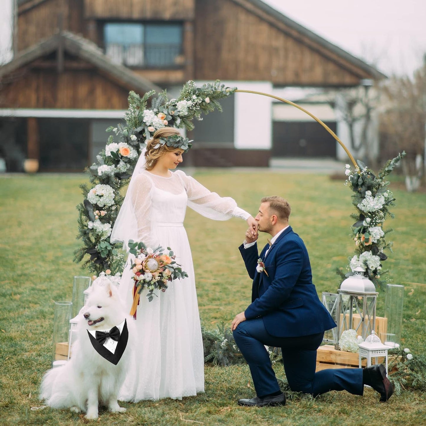 Black and white dog wedding suit collar with bowtie close up