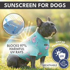 Dog wearing Spark Paws sunblock shirt for UV protection