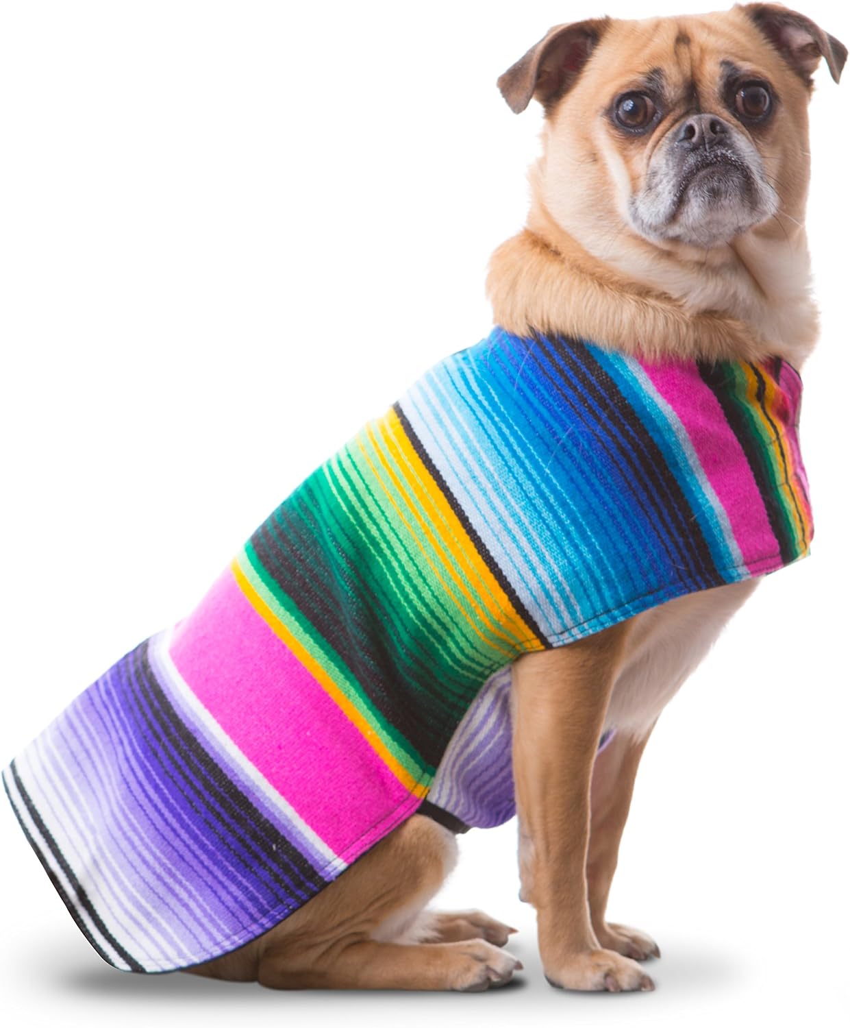 Dog Clothes - Handmade Dog Poncho from Authentic Mexican Blanket by Baja Ponchos (Blue, Small) - Image 14