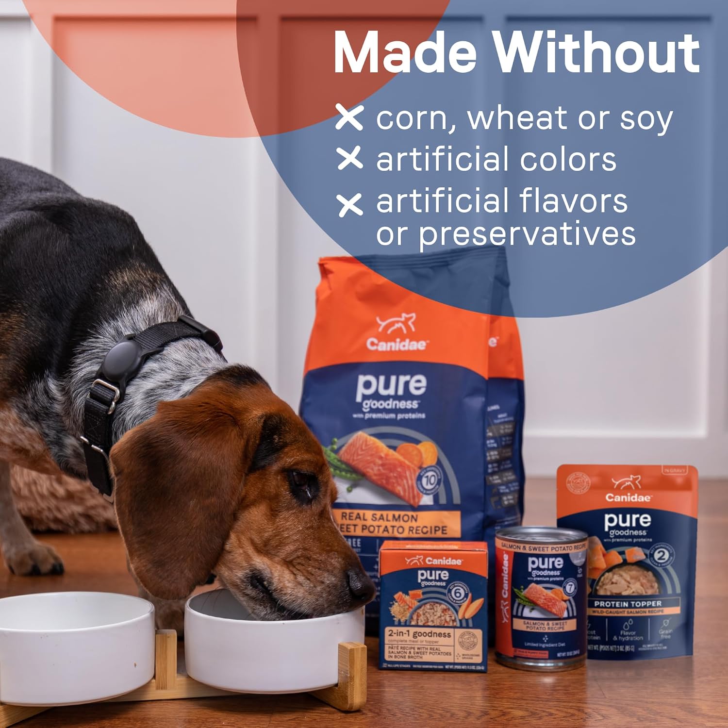 Canidae wild caught salmon recipe liquid meal mixer package