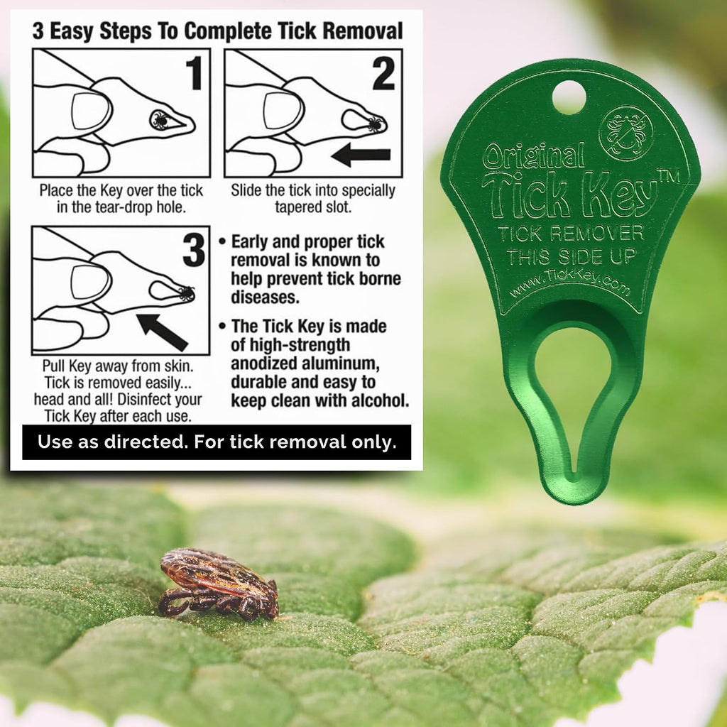 The Tick Key Earth variant portable tick removal tools on a keychain