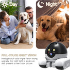 Oromvo robot camera laser teasing function
