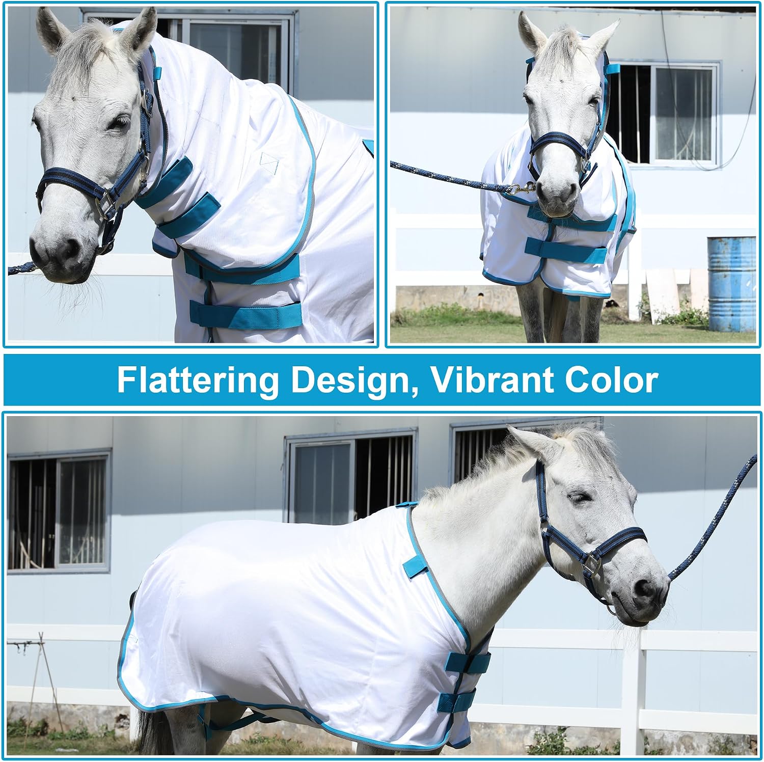 LEAFOREST miniature horse gear highlighting secure chest buckles and leg straps