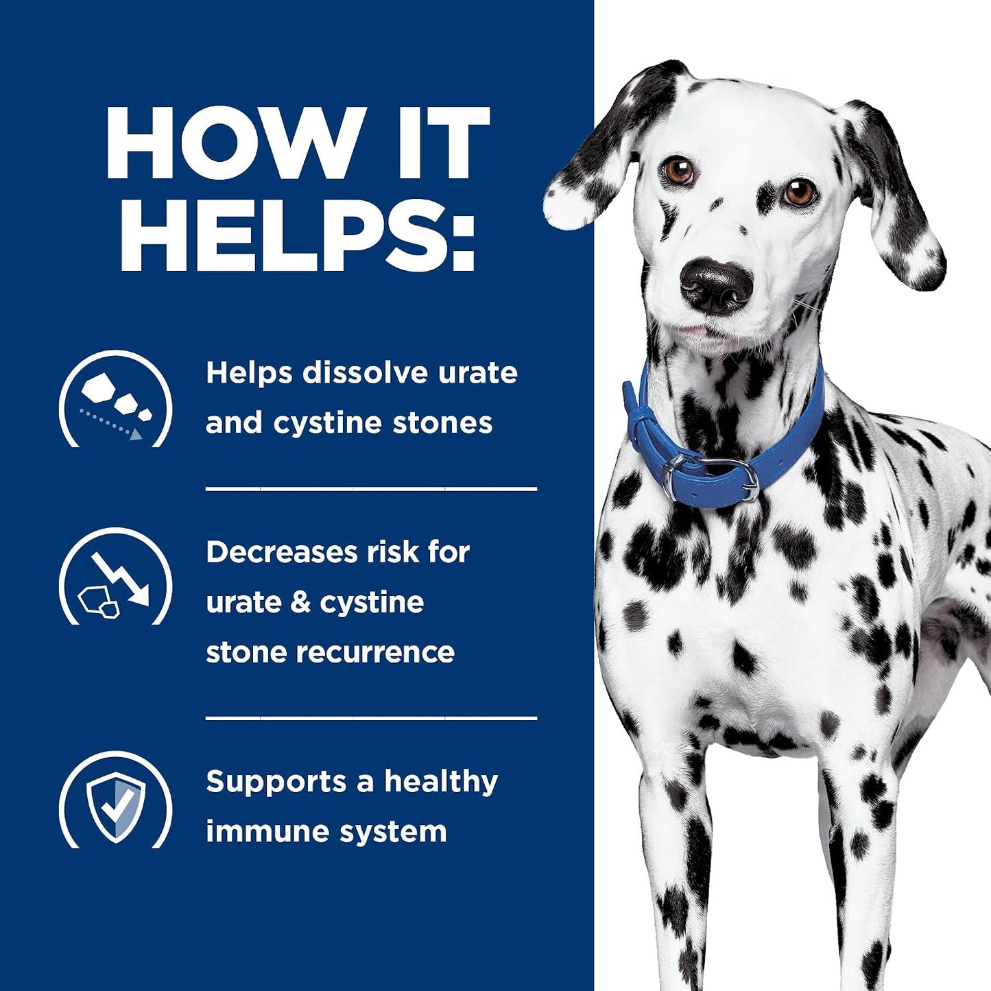 Hill's non-struvite stone care dry dog food guaranteed analysis panel closeup