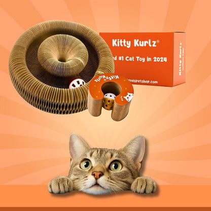 Kitty Kurlz Cardboard Scratcher being twisted and transformed using the built-in magnetic ends.