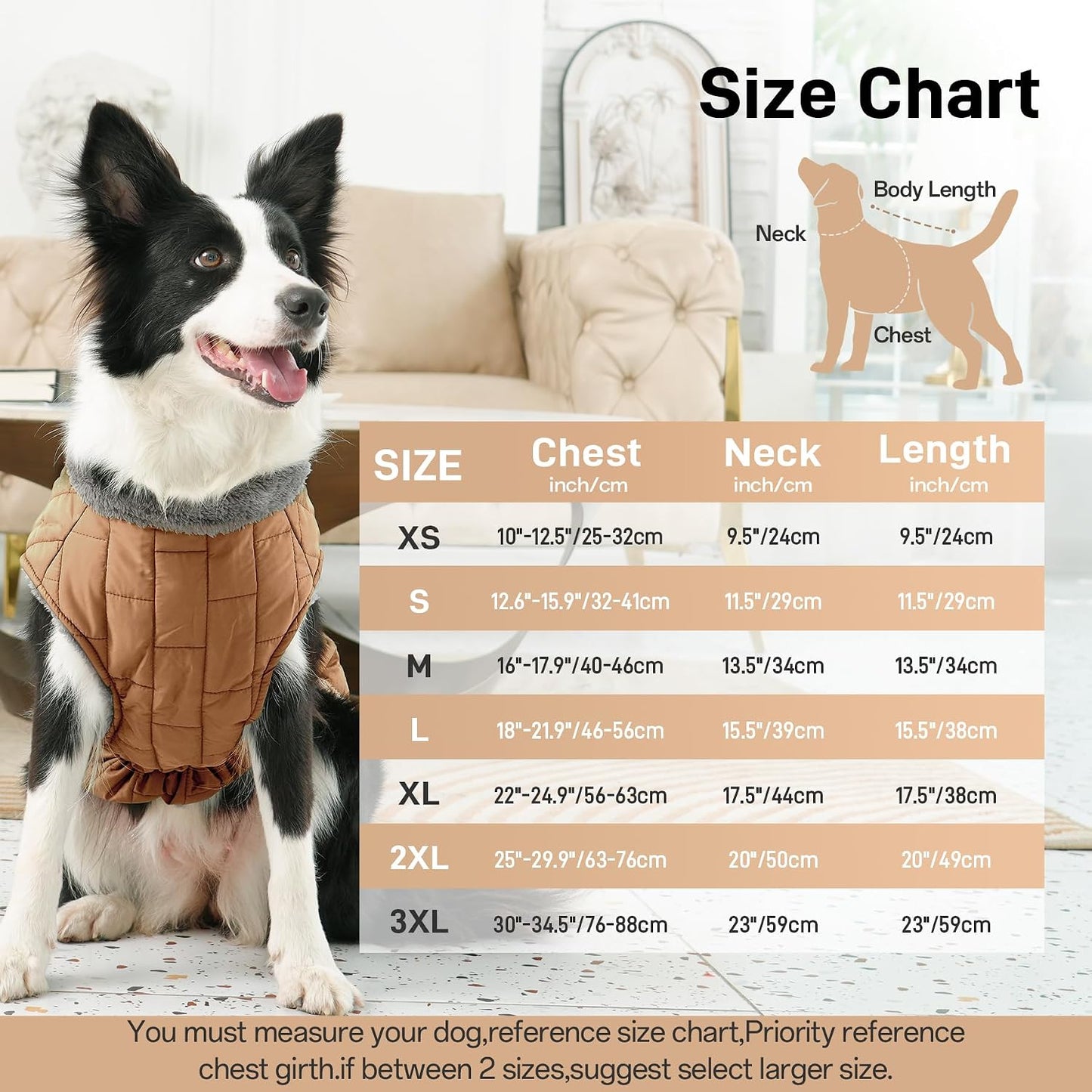 JoyDaog waterproof puppy jacket showing the back zipper closure system