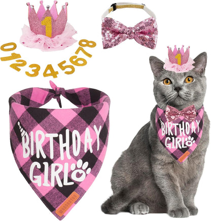 Complete cat birthday party kit with interchangeable numbers