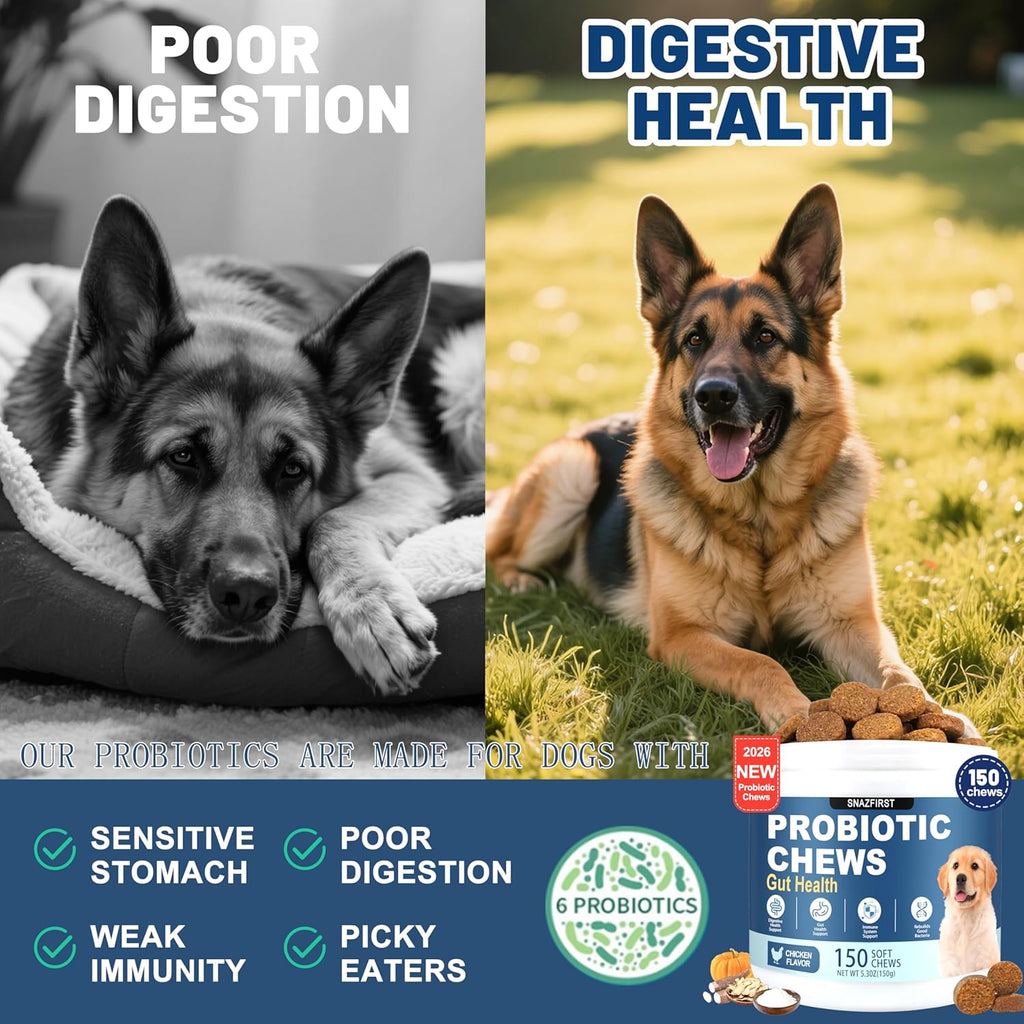 Close up of chicken flavored probiotic soft chews for dogs immune support.