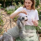 Small dog running in outdoor park wearing shirt