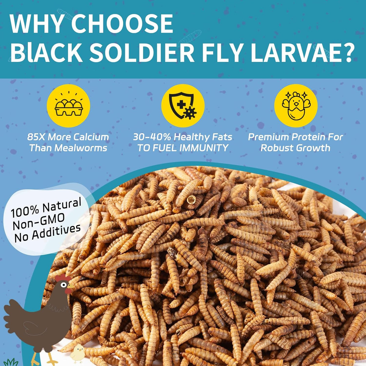 10LB Dried Black Soldier Fly Larvae for Chickens - Image 2