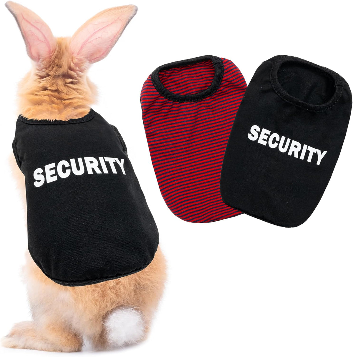 Aluzaemo guinea pig outfit imported high quality fashion wear