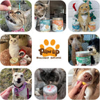 PAWUP Freeze Dried Pumpkin Treats for Dogs & Cats - Single Ingredient High Fiber Dog Food Topper for Digestion & Gut Health, Natural Pet Snacks for Sensitive Stomachs, 1.58 oz - Image 8