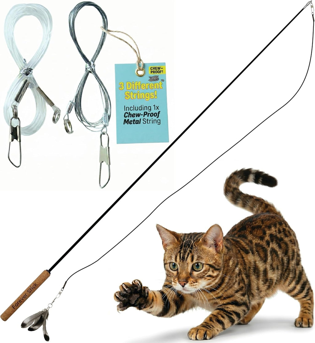 Forever Stick - The Unbreakable Cat Wand Toy, Durable Cat Toy Wand, Extra Long Cat String Toy, Cat Fishing Pole Toy for Bored Indoor Adult Cats, Cat Stick Toy, Cat Feather Wand, Cat Teaser Wand - Image 11