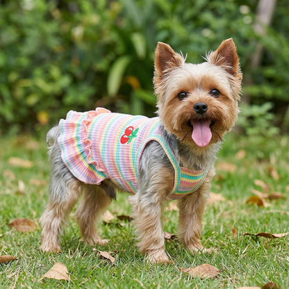 Small cat wearing Jmkcoz striped summer puppy dress