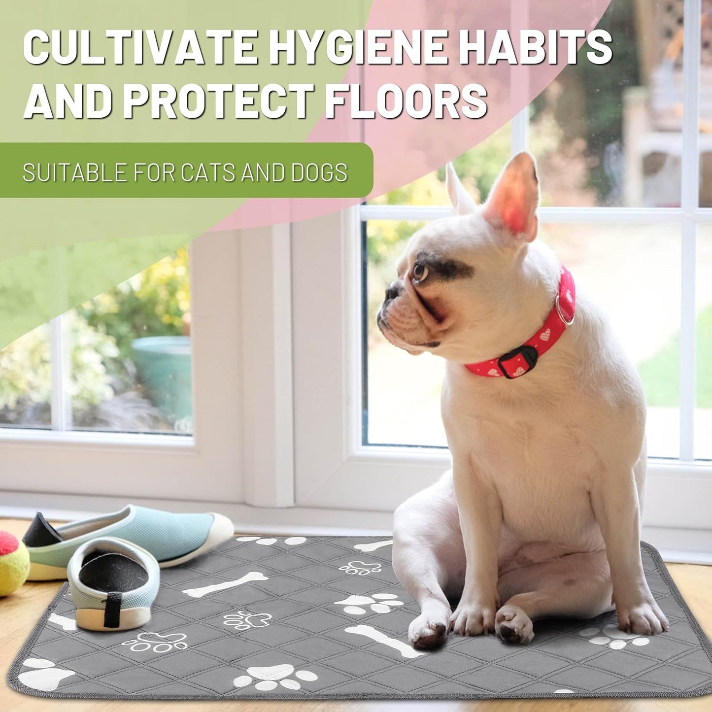 Puppy sitting on grey reusable pet potty pad on carpet