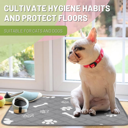 Puppy sitting on grey reusable pet potty pad on carpet