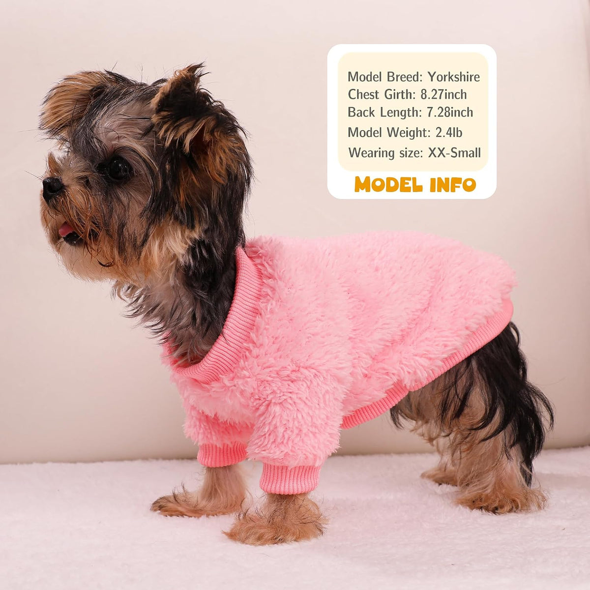 Teacup chihuahua wearing extra small pink coral velvet pet jacket