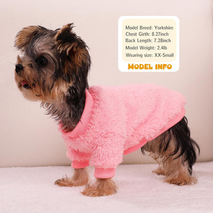 Teacup chihuahua wearing extra small pink coral velvet pet jacket