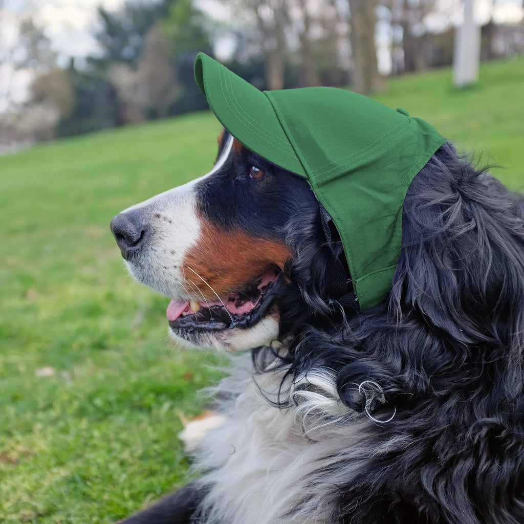 Back view of Little Earth NFL dog hat with adjustable strap