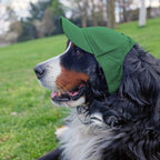 Back view of Little Earth NFL dog hat with adjustable strap