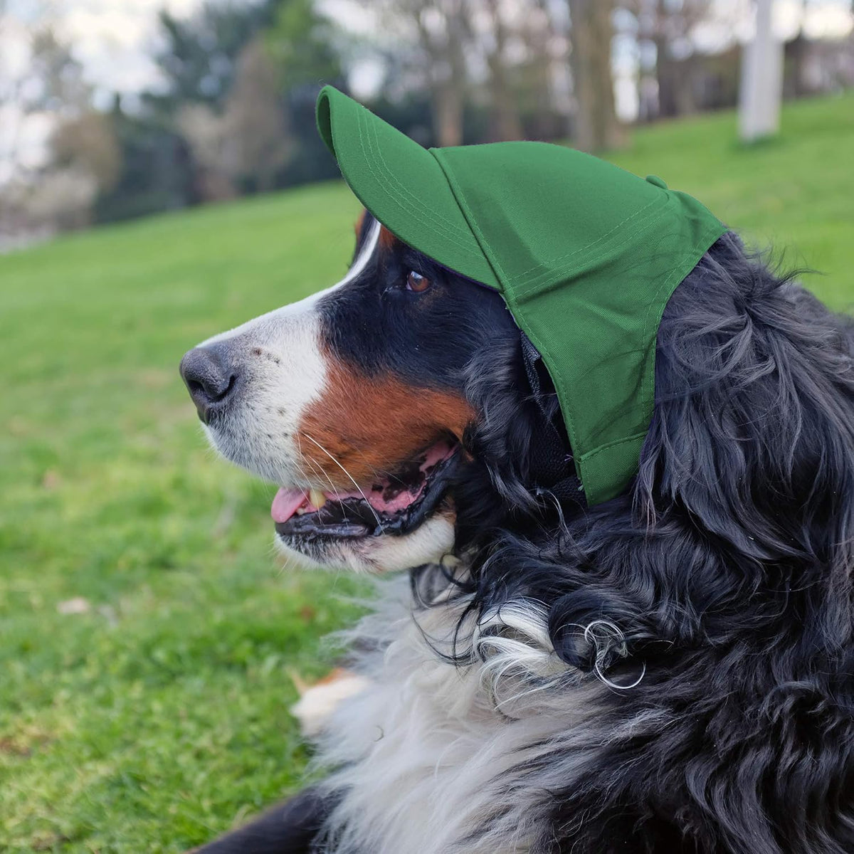 Back view of Little Earth NFL dog hat with adjustable strap