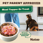 Case of 20 Natoo salmon and pumpkin cat gravy pouches