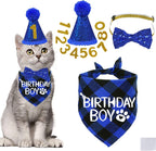 Stmk cat birthday hat and bandana set front view