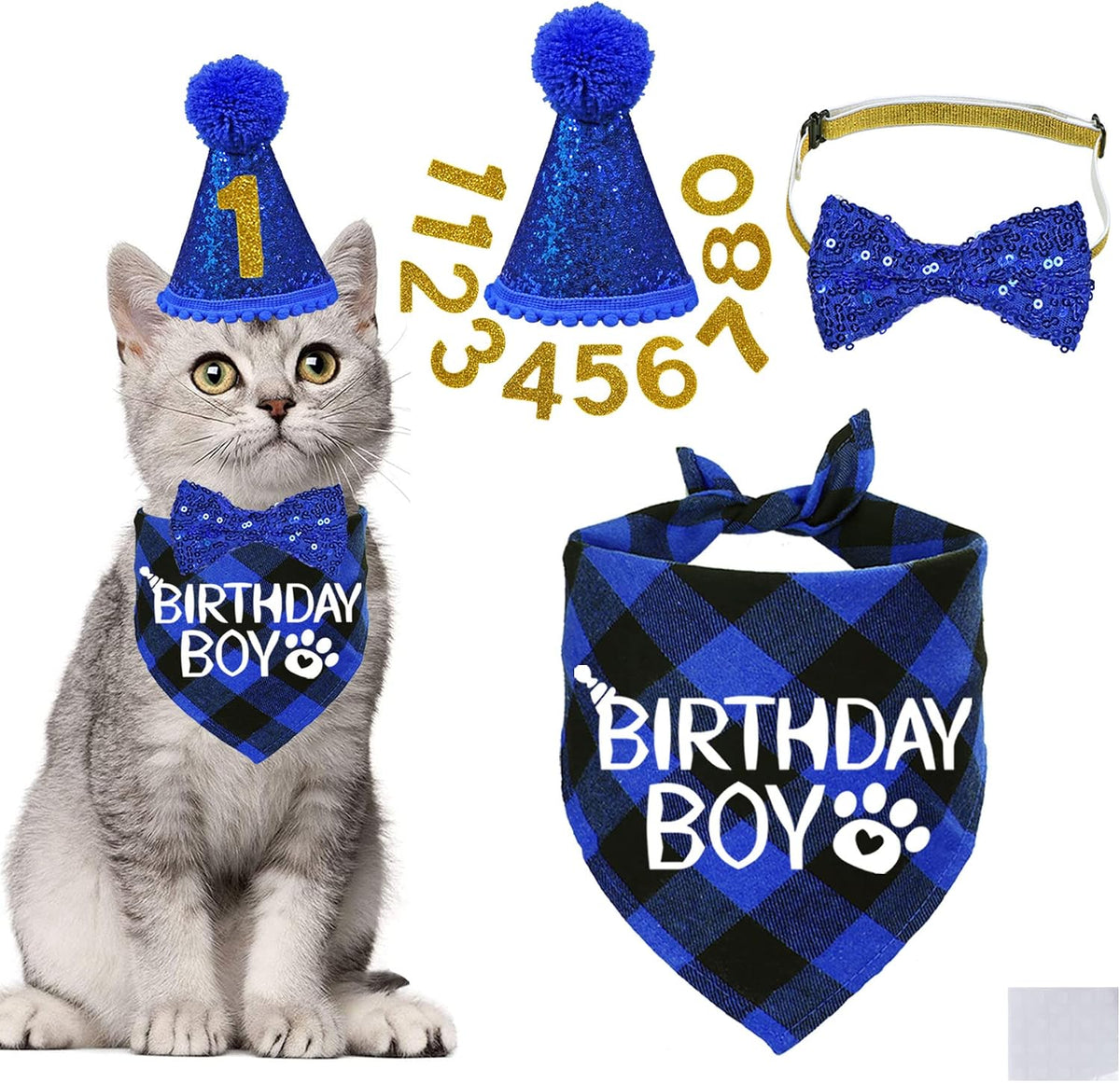 Stmk cat birthday hat and bandana set front view