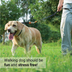 Safe and humane imported pet correction collar in black.