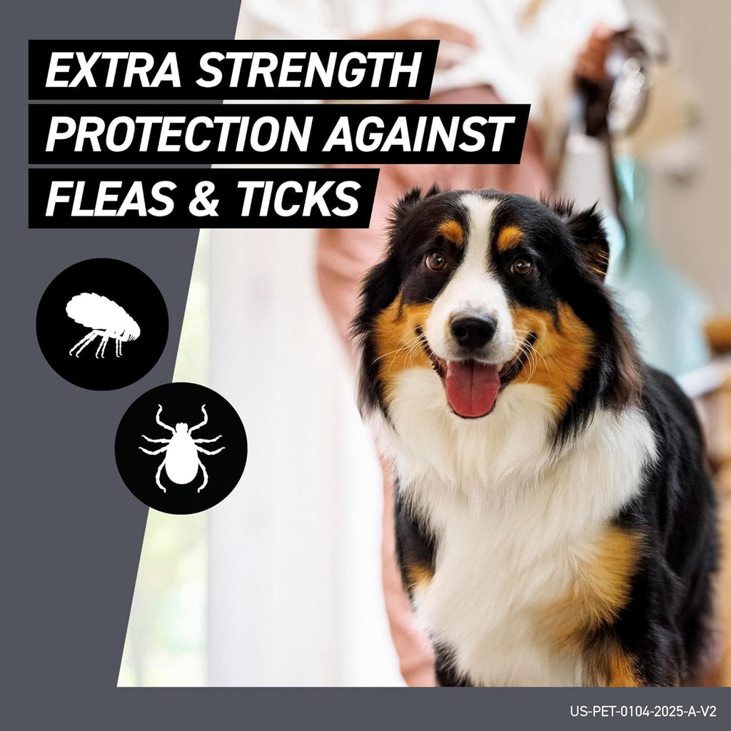 Three count pack of monthly flea and tick prevention for dogs