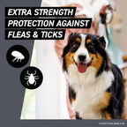Three count pack of monthly flea and tick prevention for dogs