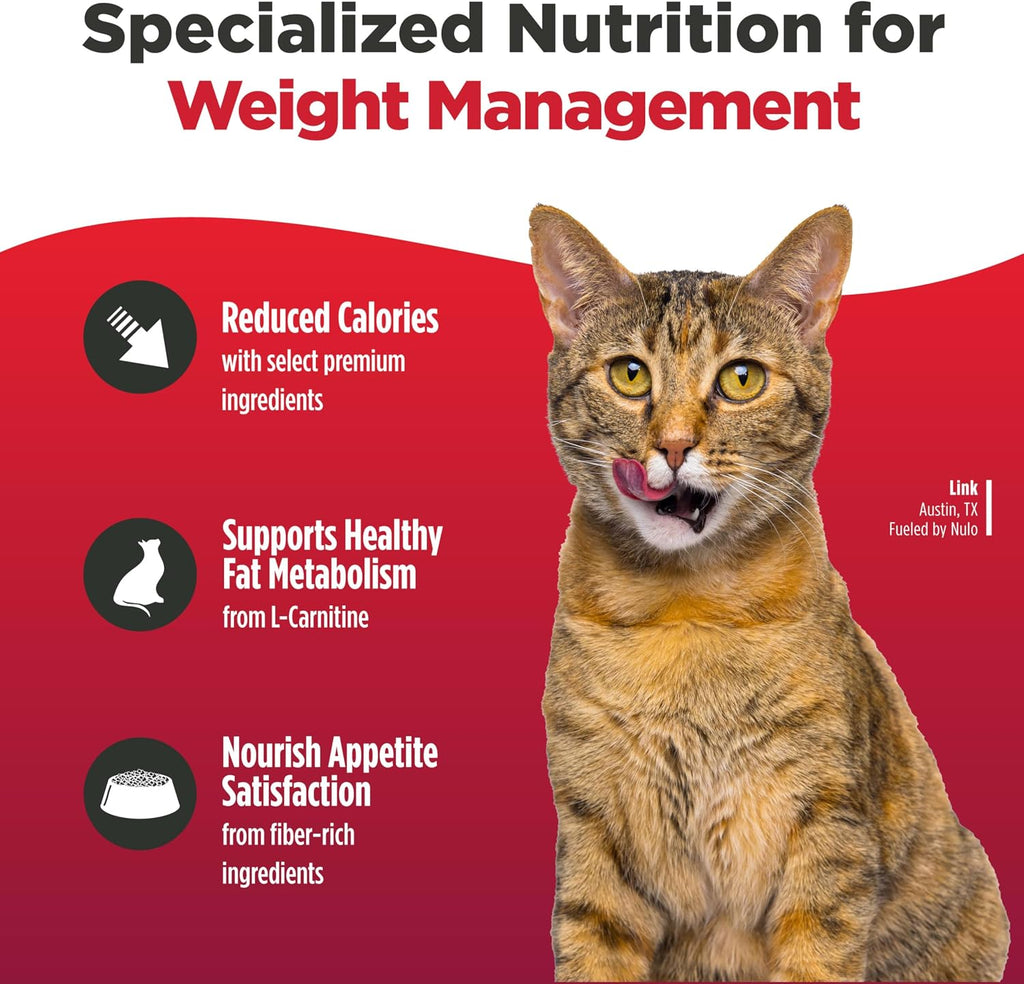 Nulo grain-free cat food kibble texture close up