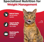 Nulo grain-free cat food kibble texture close up
